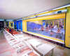 Alaiye Kleopatra Hotel & Apart 